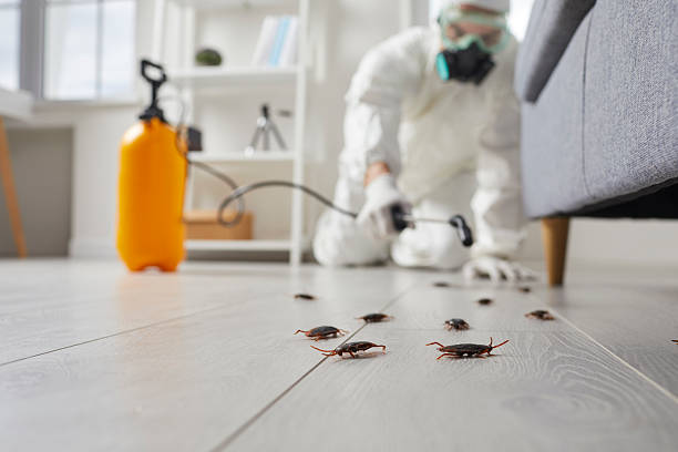 Commercial Kitchen Cockroach Control in Mercersburg